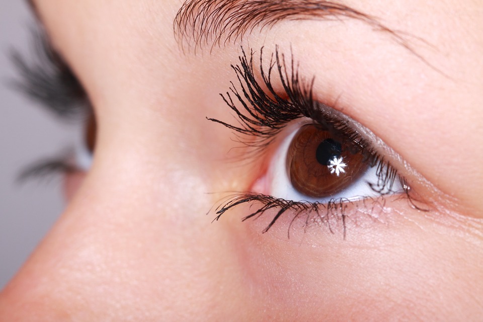 eye-eye lashes
