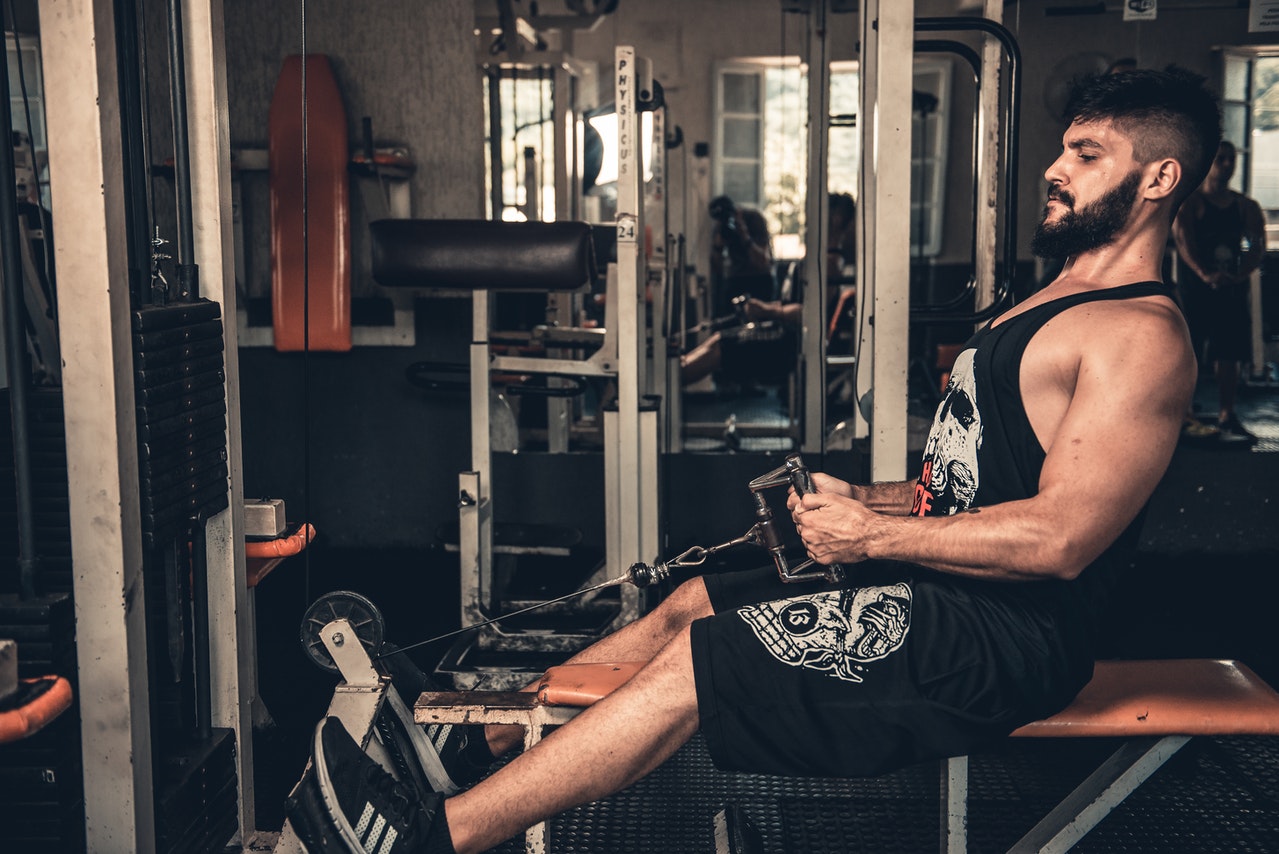 muscles